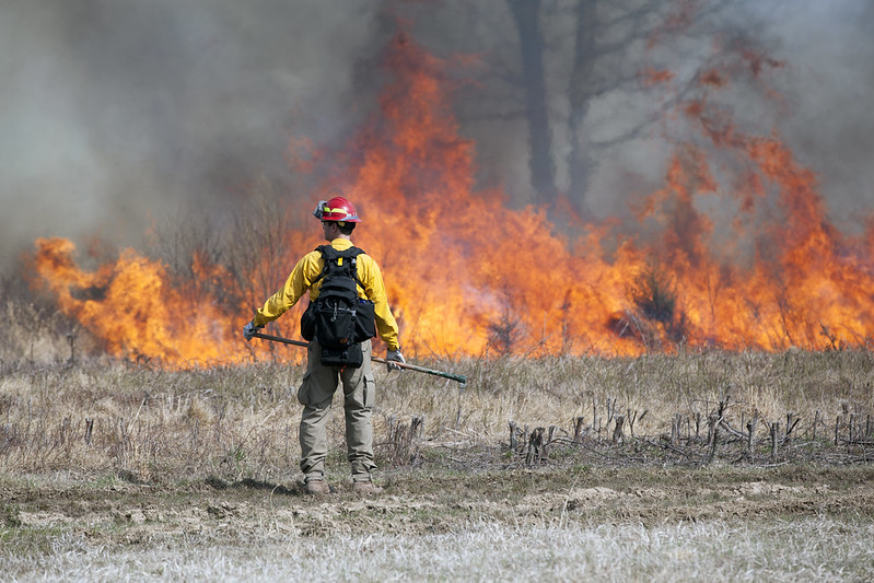 brawnerPrescribedFire