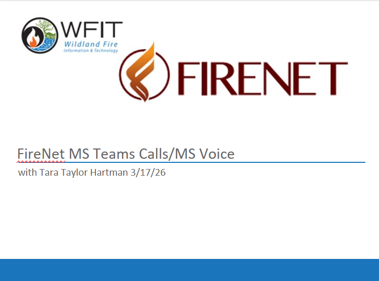msVoicePPT